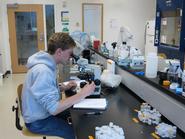 Douglas Santoro '14 in the lab.