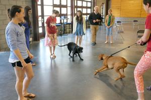 Students and staff enjoyed the Paws to Relax event in the Fillius Events Barn. The dogs... not so much!