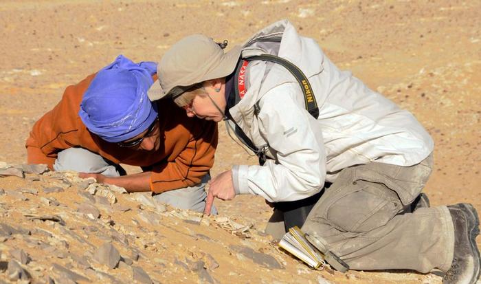 Barbara Tewksbury conducts field research in Egypt