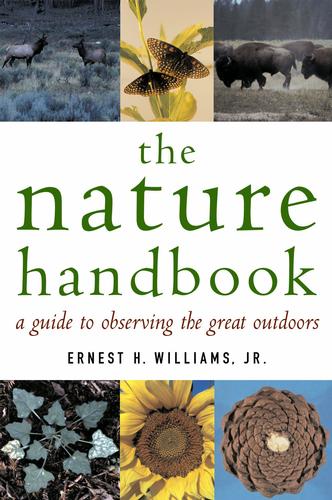 Patterns in Nature patterns in nature artists. Patterns in Nature