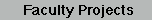 [Faculty Projects]