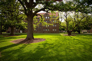 Promise - Photo - Kirkland Hall