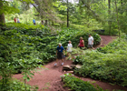 Root Glen