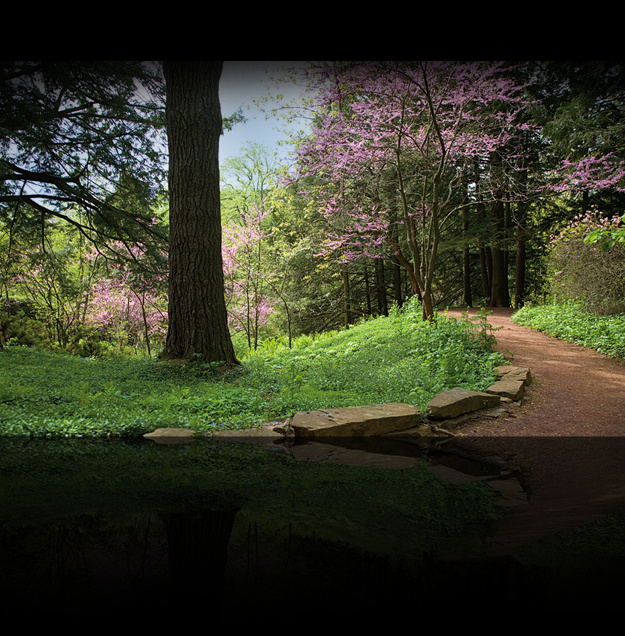<a class='captionlink' rel='DB13AD8A-D056-9E8E-3F7C00611CEC7761'>The Root Glen</a>