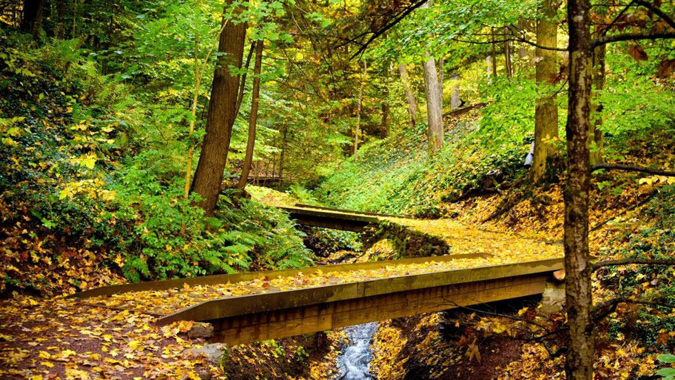 Root Glen today