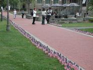 Nearly 3,000 memorial flags line Martin's Way.