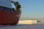 Icebreaker Araon in the Ice