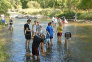 Biology 237 students sampling invertebrates in Oriskany Creek.