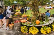 The 2010 Eat Local Challenge took place on McEwen green.