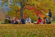 At least one Hamilton class moved outdoors to enjoy a gorgeous October day.