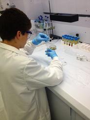 John DeGuardi '16 isolates isotopes to determine the age of a black shale sample.