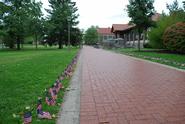 Flags line Martin's Way on 9/11/09.