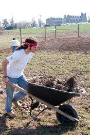 Andrew Pape '10 clears rocks from the garden.