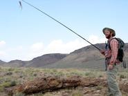 Jon Milgrom '08 caught lizards for an experiment on endurance for summer research.