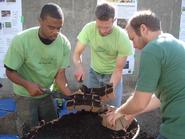 Kevin Alexander '13, left, and Cornell landscape architecture students, plant sunflower seeds to give away at Utica Monday Night.