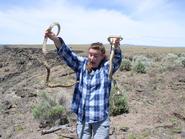 Lizzy Finan '08 gets acquainted with some bullsnakes in Oregon.
