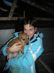 Emma Domby '11 cuddles a puppy from the Rome Humane Society.