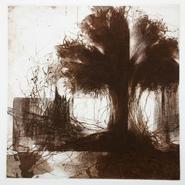 Daybreak by Jake Muirhead '86
