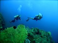  Jamie McLean '15 and Madison Beres '15 enjoying an introductory dive through Thetford Reef.