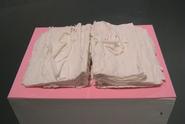 Ephemeral Preservation #2 Porcelain, Foam, 2004