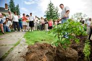 Lead horticulturist Dan Rouiliier shows how to plant a peony at the A.P. Saunders Tree Peony Fest.