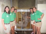Elizabeth Bucceri '11 , second from left, with zoo interns and Southern White Rhino, Tony.