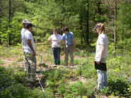 Members of the research group studying blue lupine. 