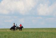 Riders race across the grasslands at a cultural center in Inner Mongolia.