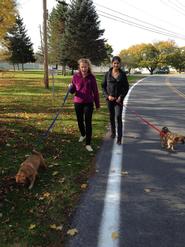 Anna Jaeger ’15 and Mira Khanna ’15 walk dogs the Rome Humane Society.