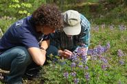 Researchers at the Rome Sand Plain.