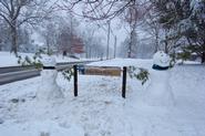 Elihu Root House's Snowpeople welcome visitors to the Hill.