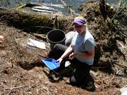 Caitlin Tuten-Rhodes '12 excavating at the Slocan Narrows Pithouse Village.