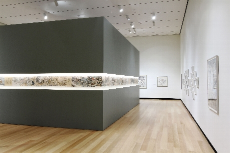  Exhibition installation view of "Yun-Fei Ji: The Intimate Universe." Photograph by John Bentham.