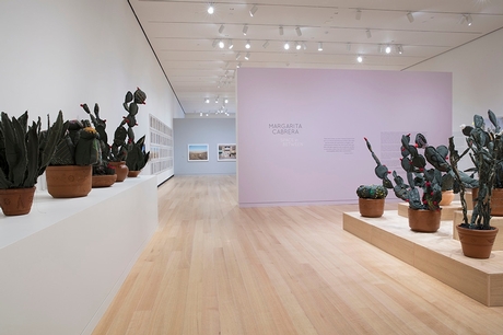  Exhibition installation view of "Margarita Cabrera: Space in Between." Photograph by John Bentham.