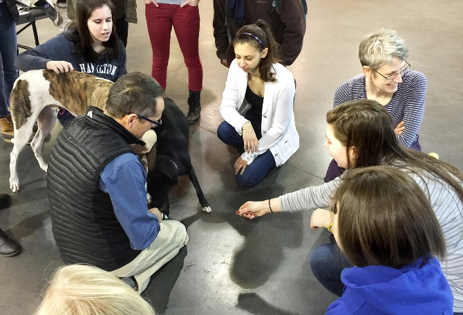 Students “Paws” to Relax With Four-Legged Friends
