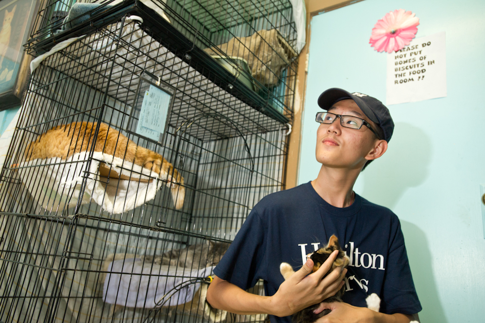 Zhuolun Du '15 plays with a cat while working at the Rome Humane Society as part of Hamilton Serves.