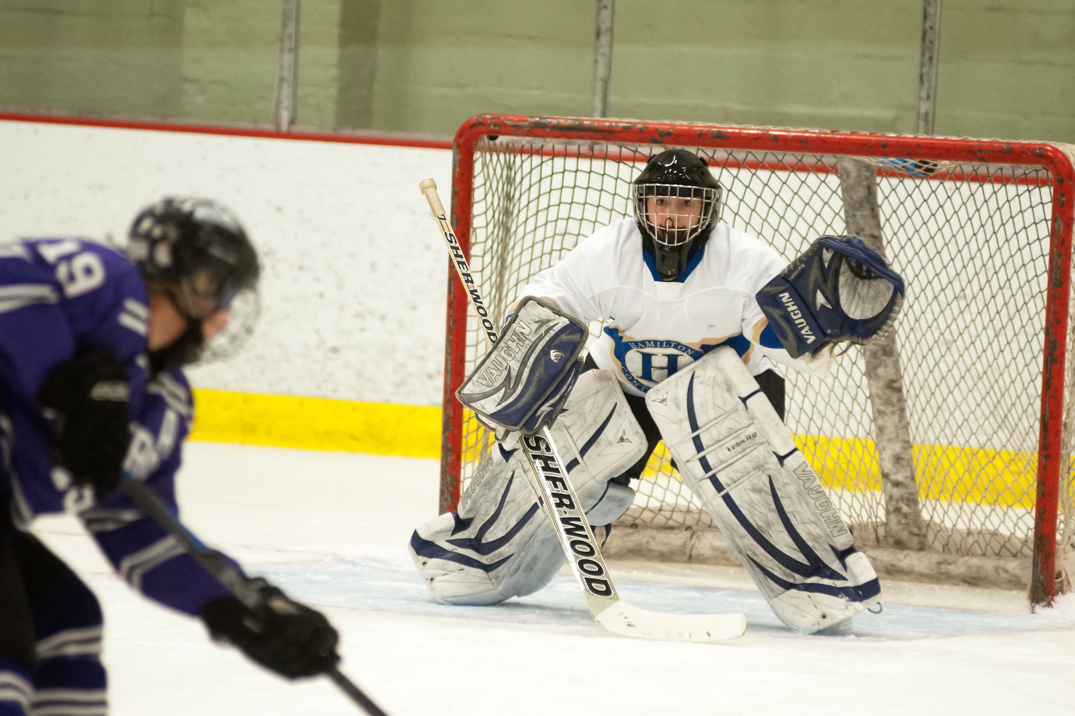 Womens Hockey Headed To Vermont For Nescac Quarterfinal News