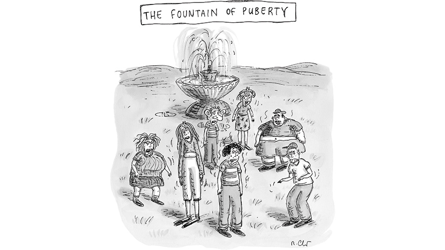 Fountain of Puberty