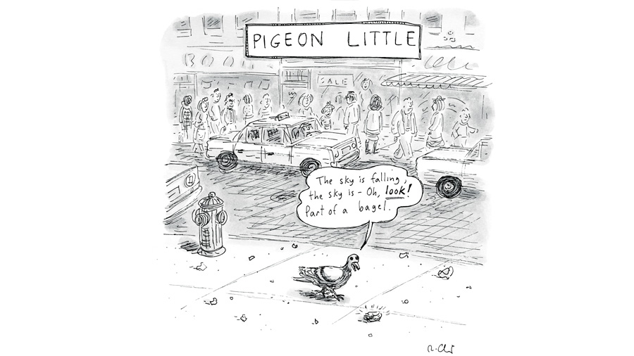 Pigeon Little