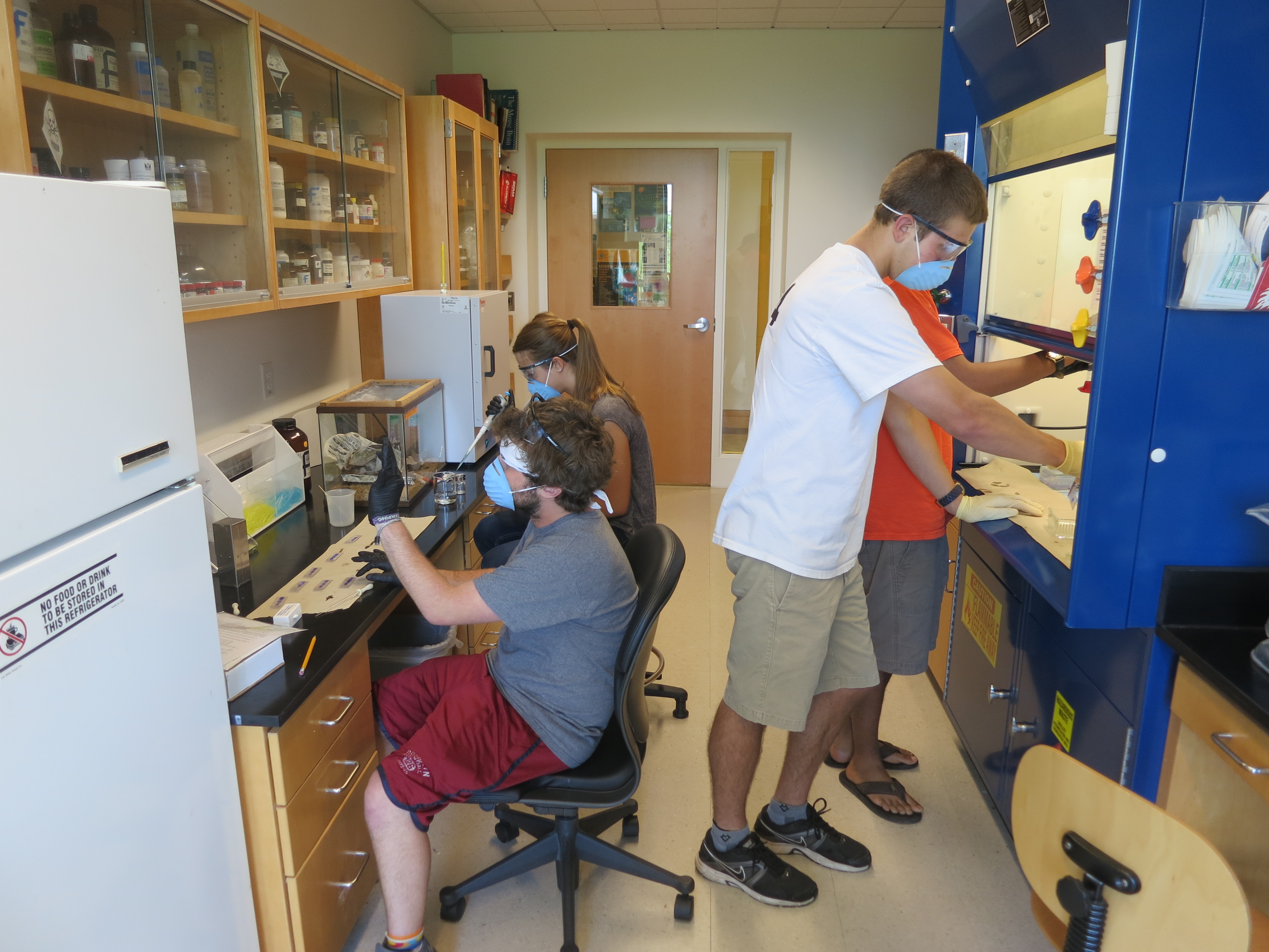 Student researchers in the lab.