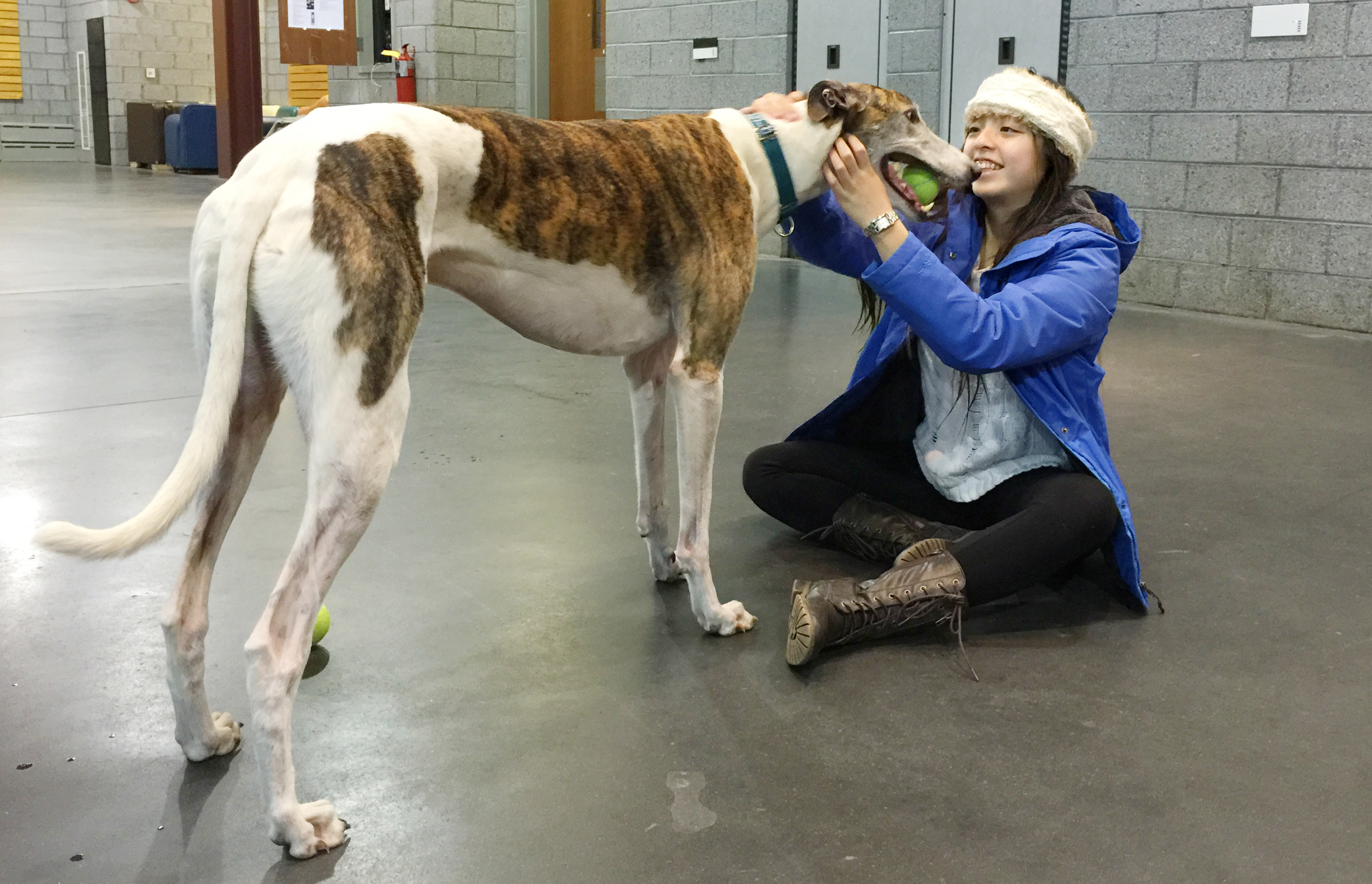 Anna Do '18 with Beloki.