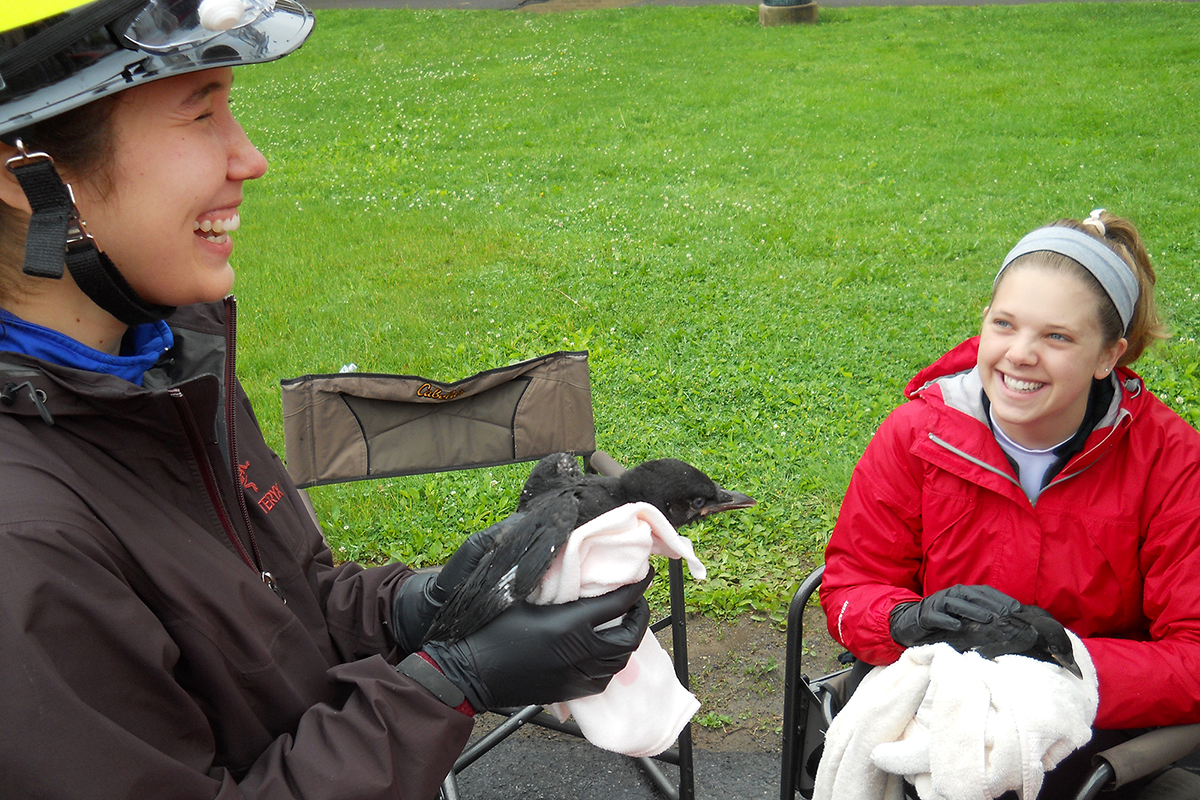 Marian Ackerman bands a crow as Jessica Sofen looks on.