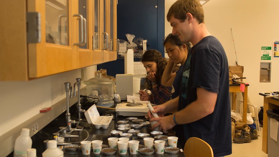 From left, Samantha Mengual, Zoe Tessler and Daniel O'Shea check garlic mustard samples in the lab.