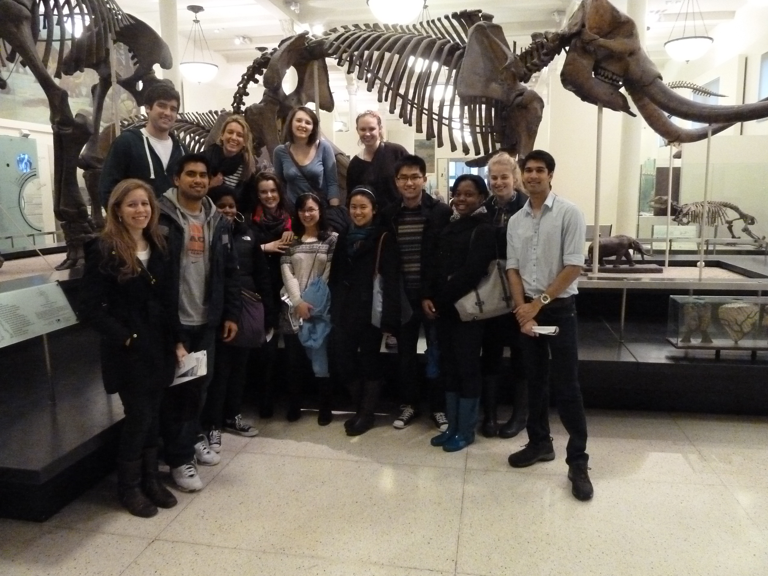 NY Program students at the American Museum of Natural History.