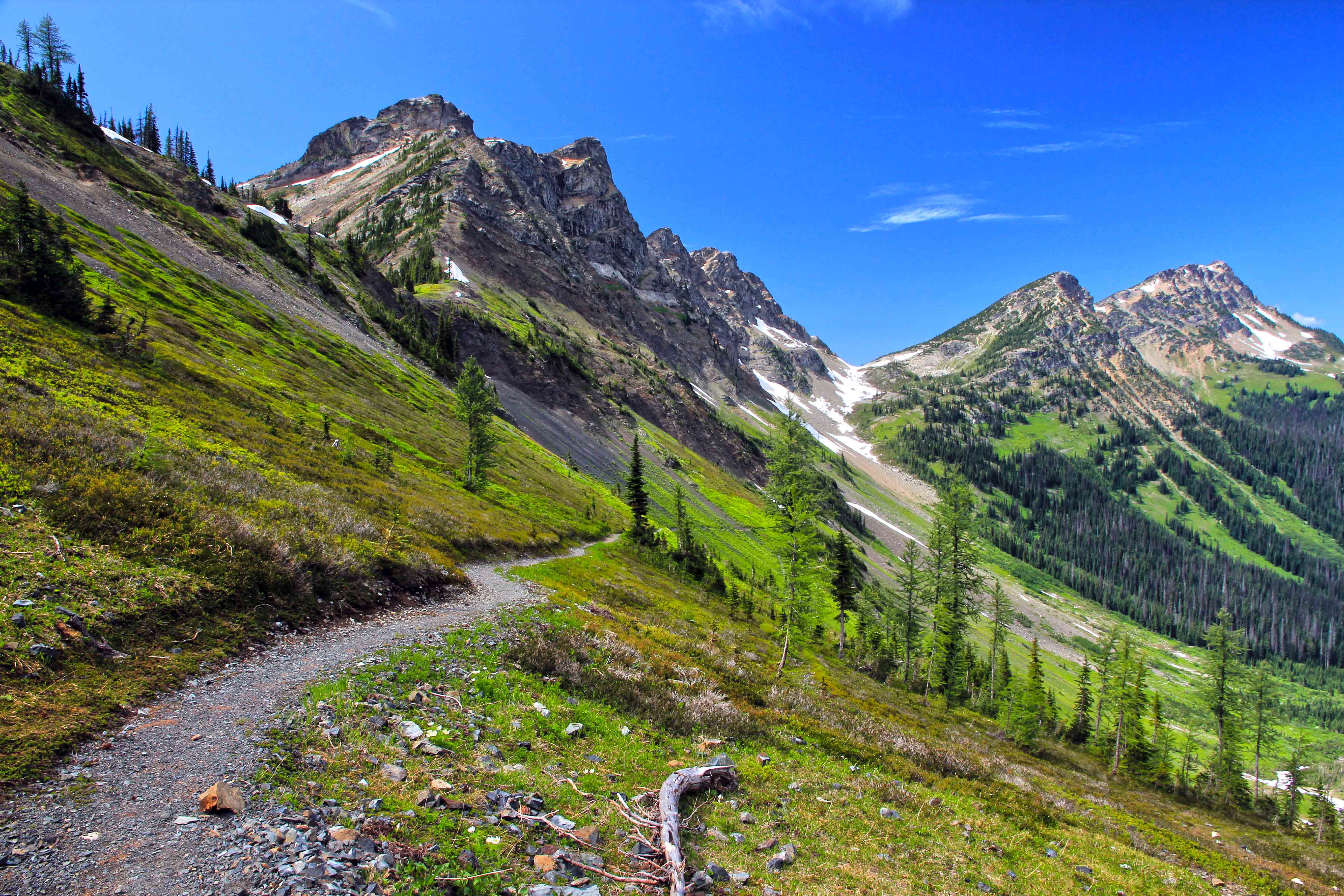 The Pacific Crest Trail as it winds through Washington State.