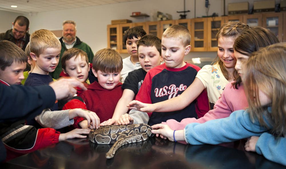 Students from Seneca Street School in Oneida visit with a snake in Prof. Dave Gapp's lab.
