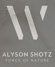 Alyson Shotz: Force of Nature