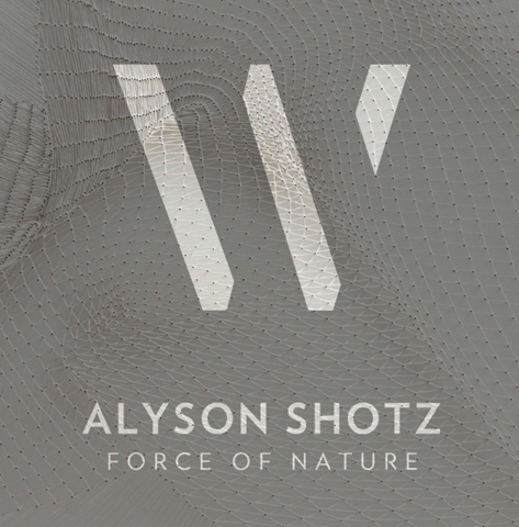 Alyson Shotz: Force of Nature