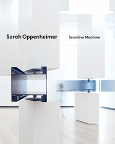 Sarah Oppenheimer: Sensitive Machine