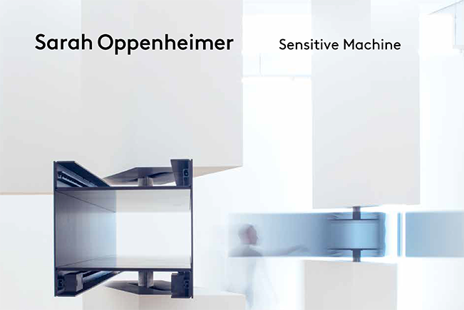 Sarah Oppenheimer: Sensitive Machine